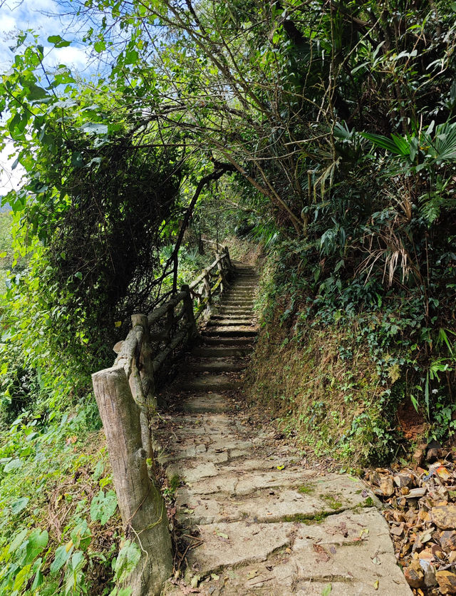 【驚艷！貴州雀鳥村，藏喺雲端嘅人間仙境】