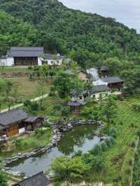 山野來信｜在[文宗古村]捕捉一場心動的風