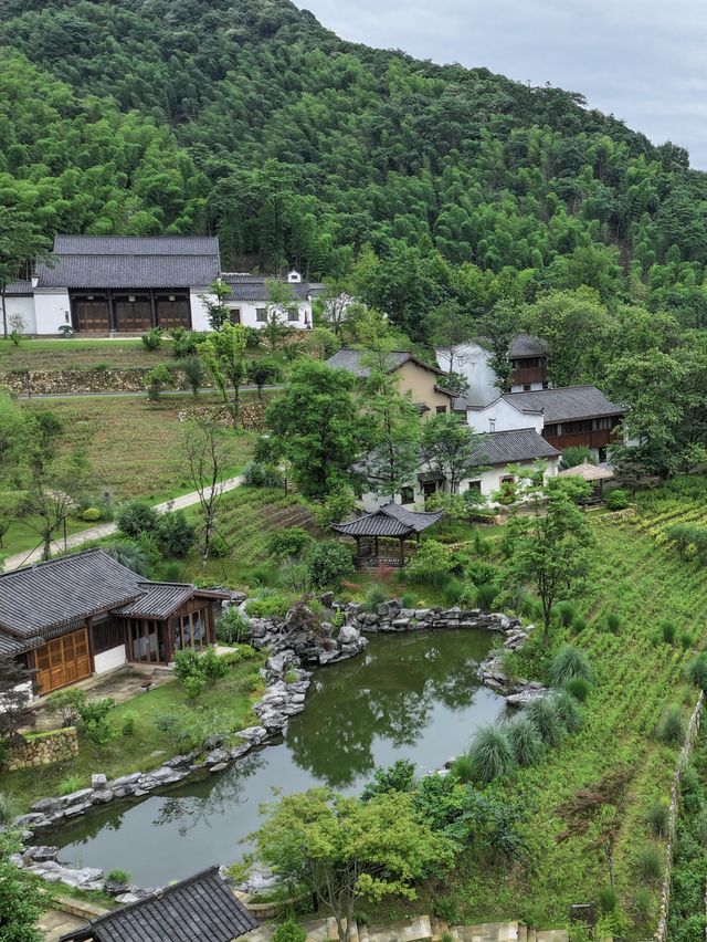 山野來信｜在[文宗古村]捕捉一場心動的風