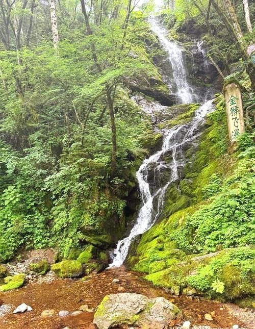 神農頂遊記
