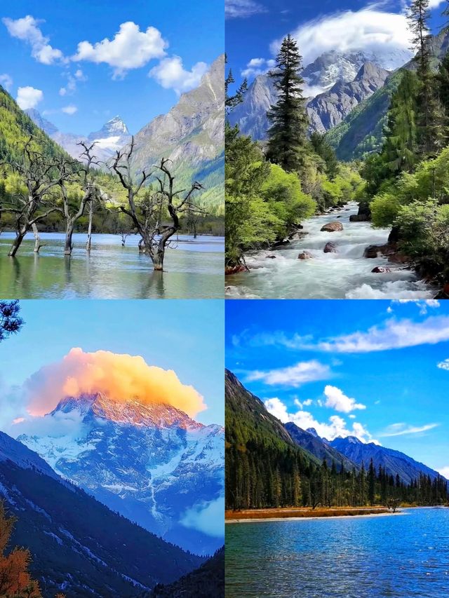 呢度唔係瑞士，係川西四姑娘山！靚到講唔出嘢