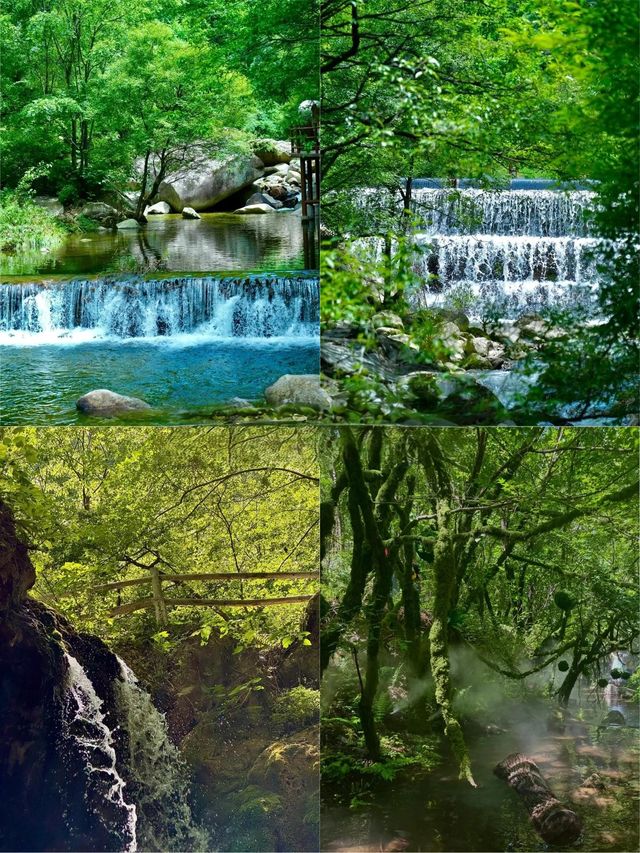 終於有人把洛陽旅遊玩明白了（附景點玩法）