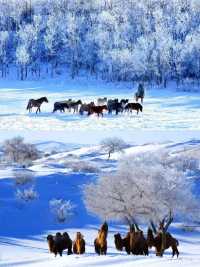 你可以永遠相信錫盟的雪景，驚艷冬日時光！