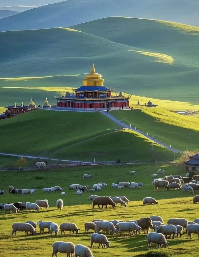 甘南 | 一場心靈的淨土之旅