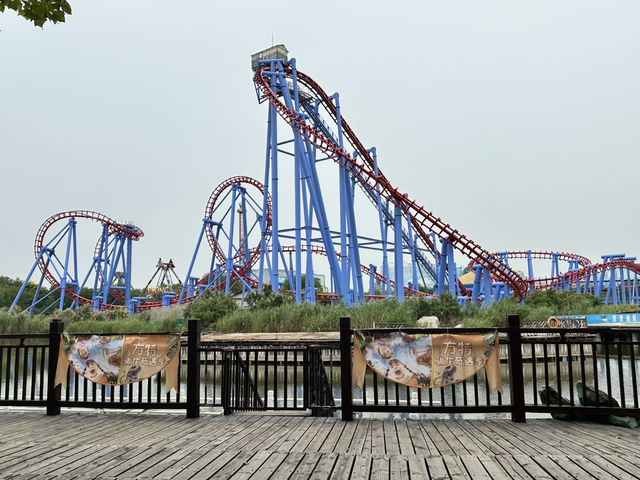 Day Trip for Rollercoasters 