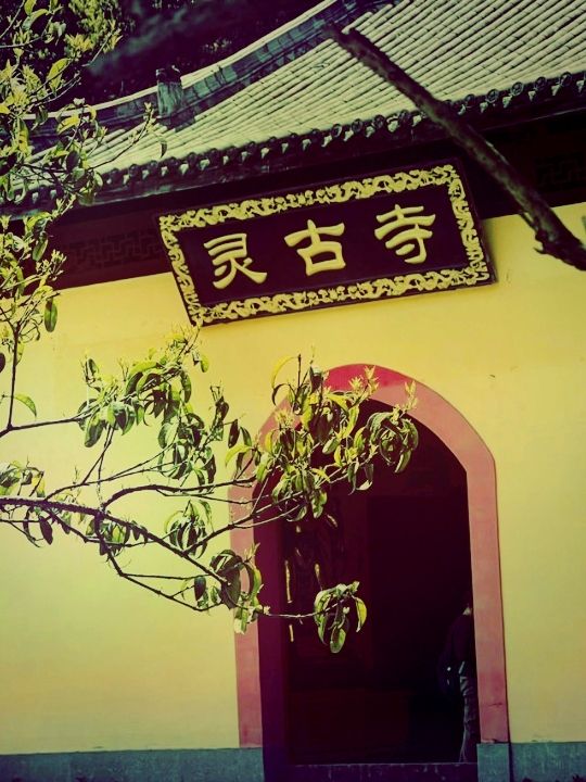 **【靈古寺：尋幽訪勝的禪意之旅】**  