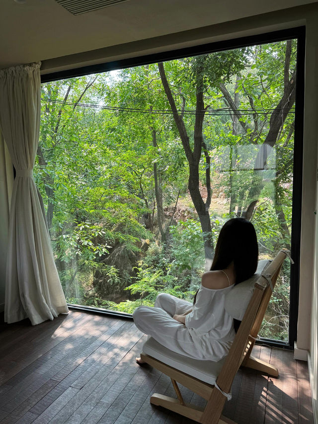 短暫的放空時光～#住在森林裡的家