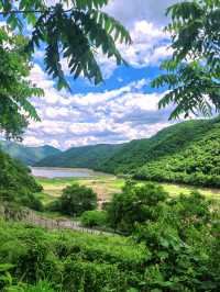 向山野，同昆蟲、樹葉同蘑菇見面