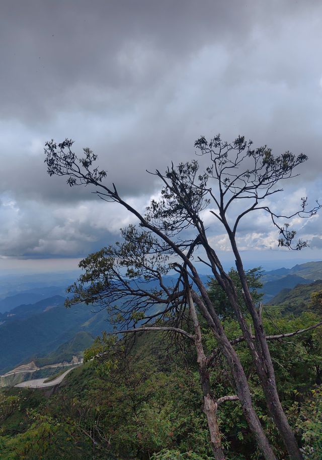 重慶周邊最狂野觀景台！3小時飆到山頂追日落