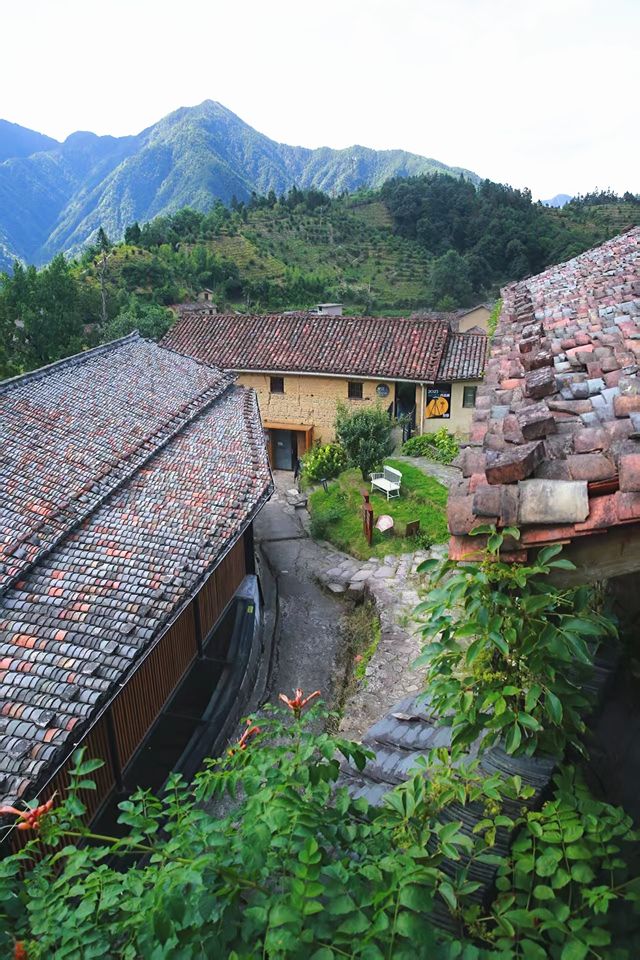 喂，老細！呢條村畀我哋包咗，一齊嚟團建啦
