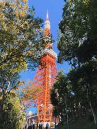 從輕井澤紅葉步道，到東京潮流地標，一趟靜與動的完美旅程