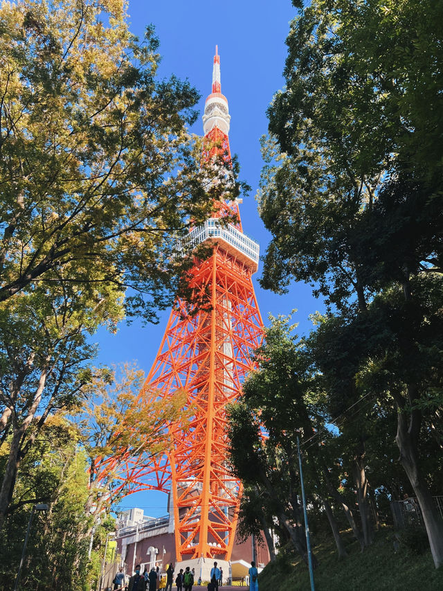 從輕井澤紅葉步道，到東京潮流地標，一趟靜與動的完美旅程