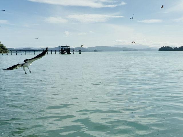 36 hours in paradise: My Langkawi escape 🌴🌞