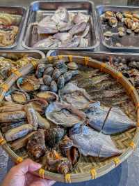 浙江海寧旅遊美食全攻略