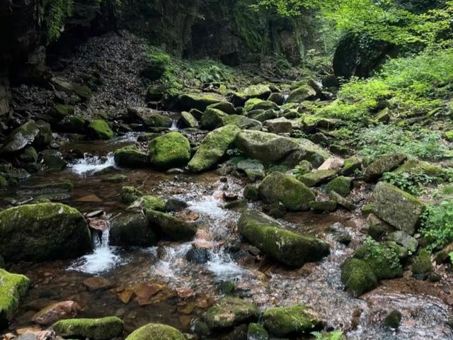 去咗4次五女峰國家森林公園，終於玩到明！