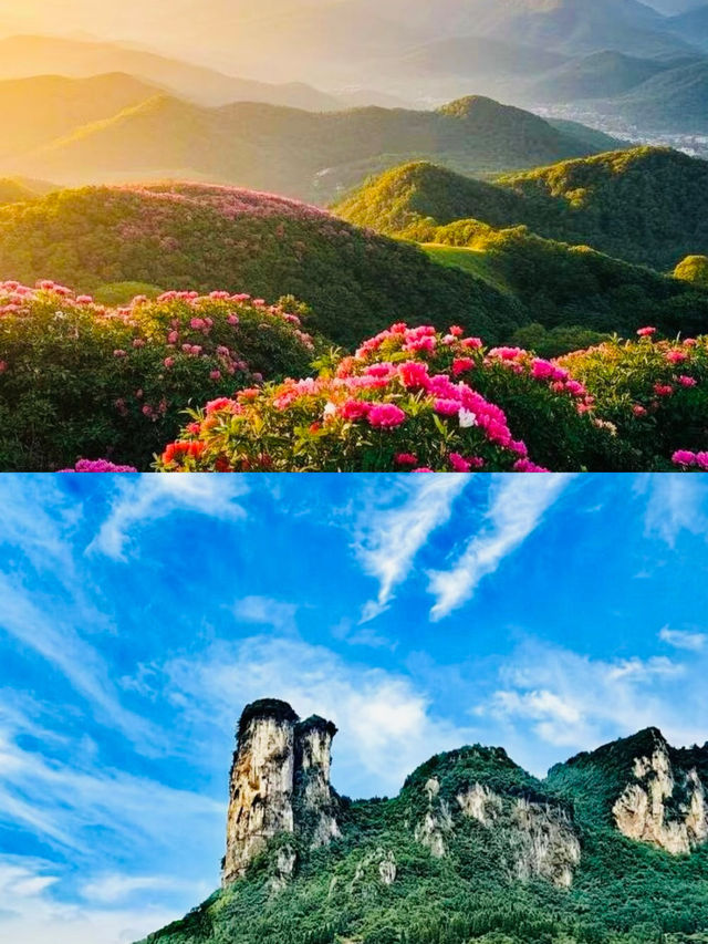 貴州「空中草原」畢節韭菜坪，藏著現實版的宮崎駿童話世界