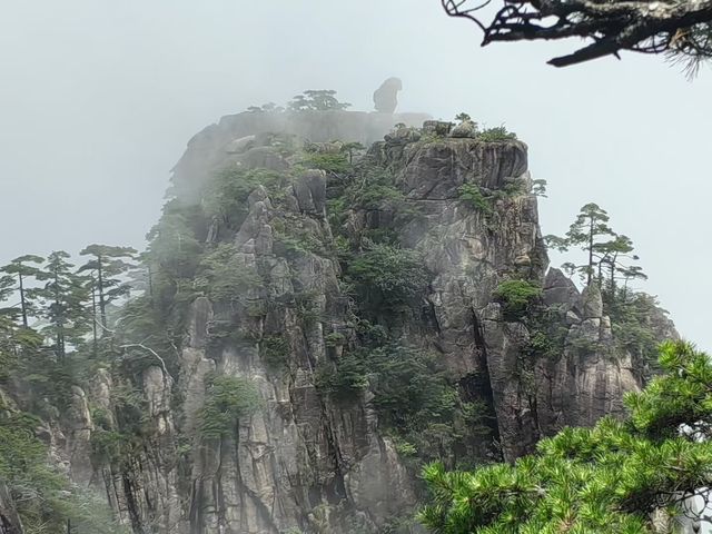 頂著25℃嘅暖陽，我用8小時走完黃山最硬核嘅徒步路線！雖然天都峰臨時關閉有啲小遺憾，但呢絕對係