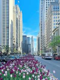 芝加哥華麗一英里與360 Chicago