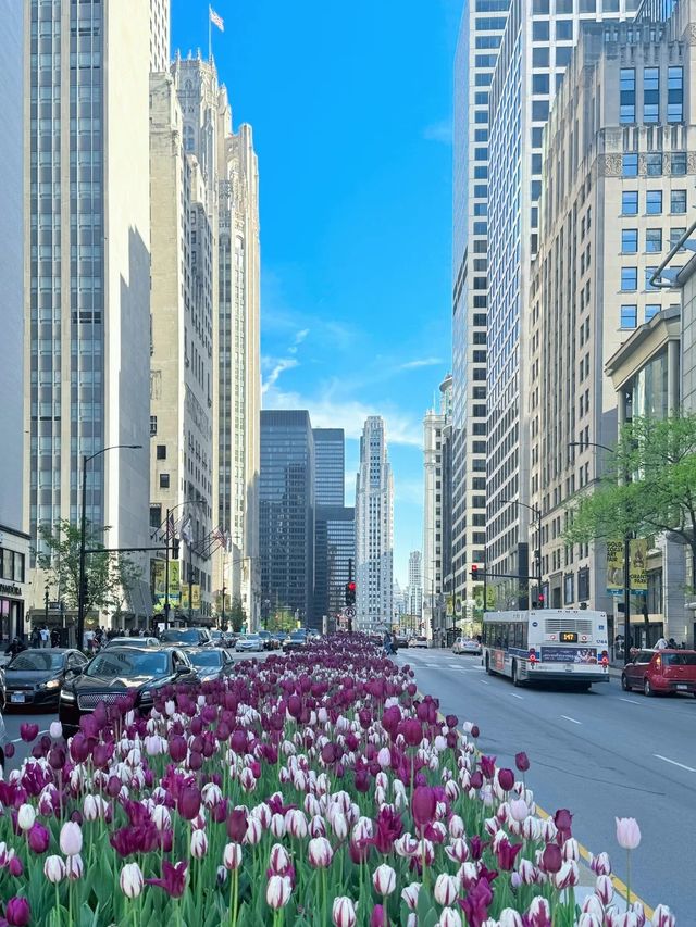 芝加哥華麗一英里與360 Chicago