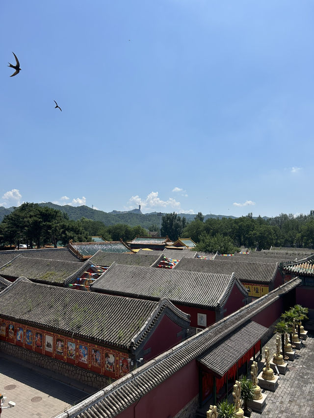 Puning Temple in Chengde!! 