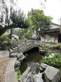 🌧️ 柳州人才懂的雨天浪漫！柳侯公園餵魚賞雨秘境大公開