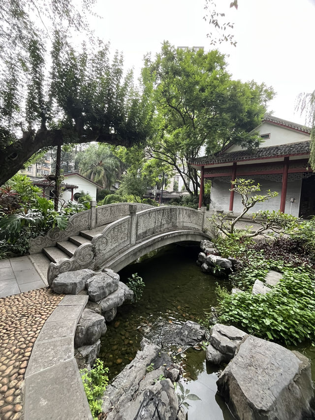 🌧️ 柳州人才懂的雨天浪漫！柳侯公園餵魚賞雨秘境大公開