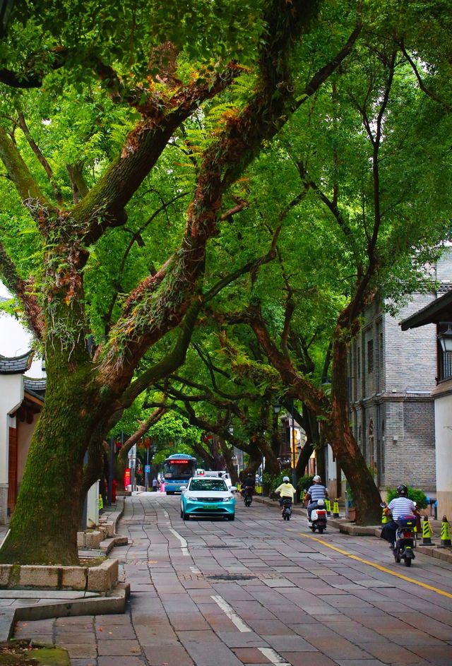 福州旅行|呢間酒店我逢人就推介! 福州旅行|呢間酒店我逢人就推介!