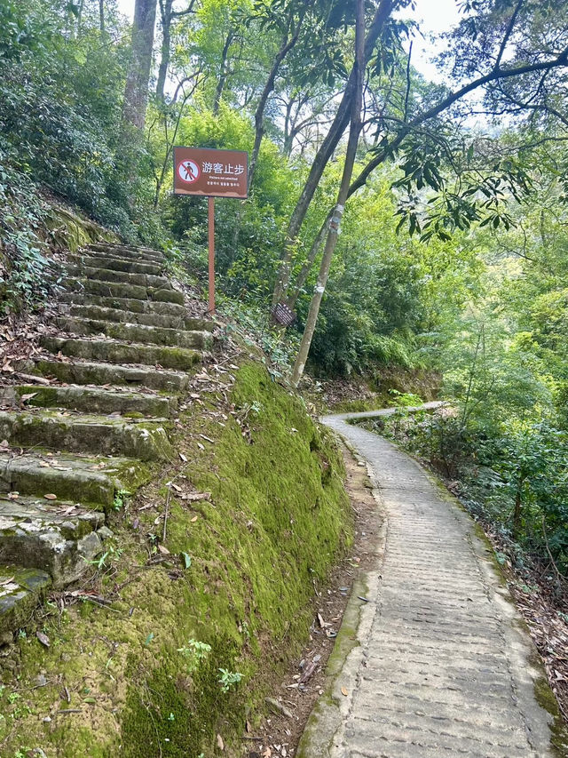 天然氧吧・永春牛姆林的生命樂章 天然氧吧・永春牛姆林的生命樂章