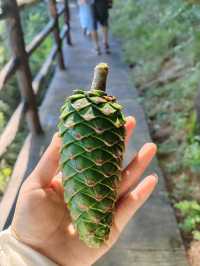 抱犢古寨：懸崖上的千年古村落 山巔烽火台俯瞰雲海！ 必去理由 懸崖古寨！中原第一險！ 