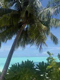 A Memorable and Peaceful Island Retreat
