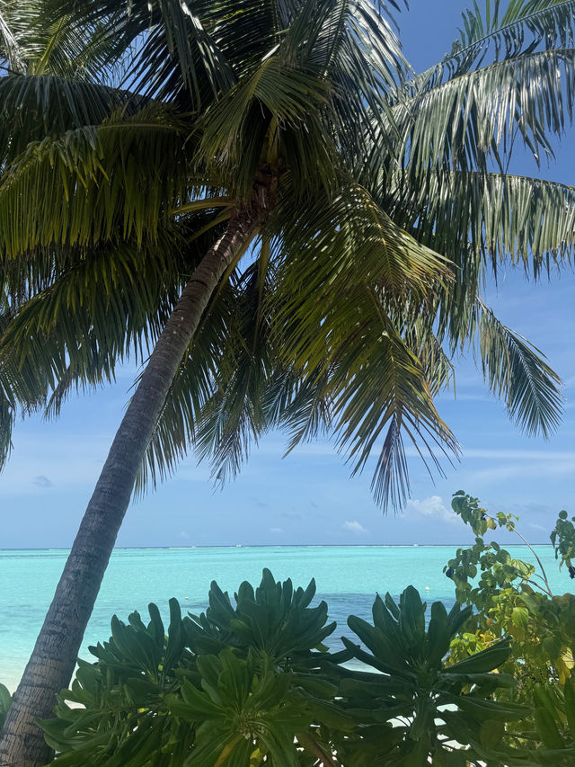 A Memorable and Peaceful Island Retreat