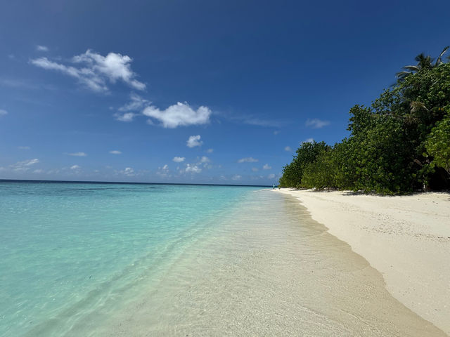 A Perfectly Relaxing Safari Island Getaway