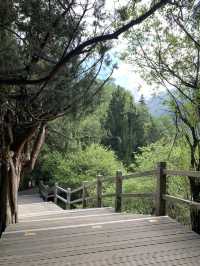 Siguniangshan - changpinggou In June