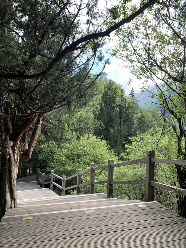 Siguniangshan - changpinggou In June