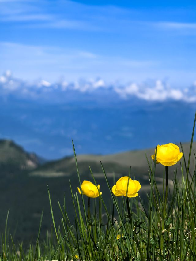 多洛米蒂山