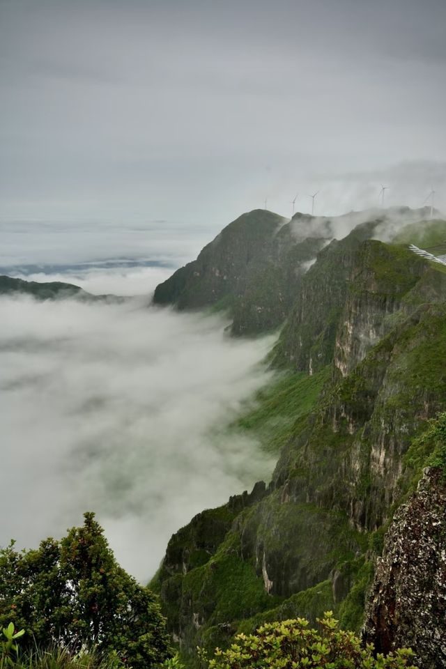 烏蒙山旅遊攻略