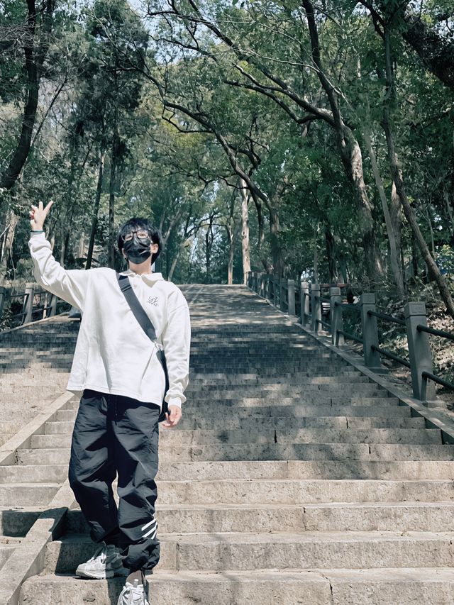 魔都週末登山好去處佘山爬山攻略
