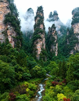 Step into the fairyland of "Avatar"! A 3-day, 2-night cultivation guide