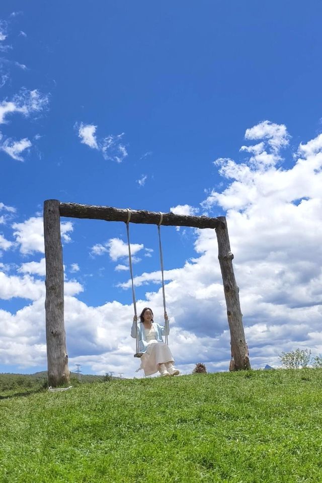 麗江日照金山婚紗照風格