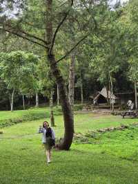 Healing sejenak Orchird forest cikole😇