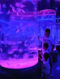 國慶反向遛娃!武漢一站式度假區太棒啦!