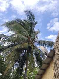 Unforgettable Honeymoon Haven