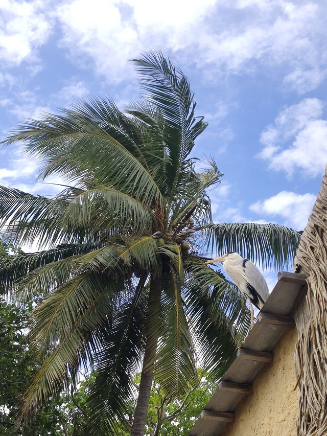 Unforgettable Honeymoon Haven