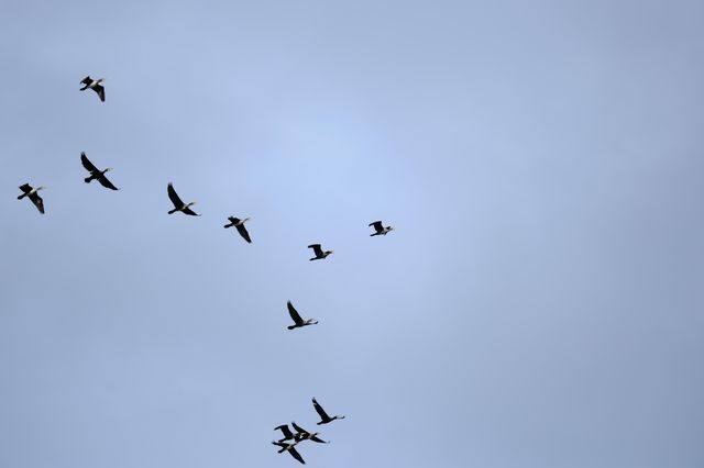 天津小眾秘境｜西青郊野公園遊玩拍照全攻略