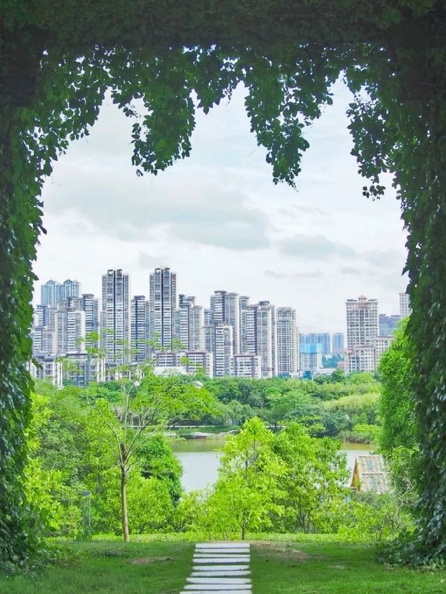 最好的補習 | 石門公園自然療癒半日計劃 最好的補習 | 石門公園自然療癒半日計劃