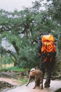 雨中闖走馬崗，在諸暨的迷霧森林裡找野趣！