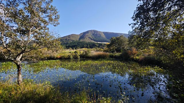 箱根濕生花園 —— 低調、但不可錯過的地方