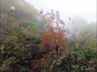 石家莊周邊｜阜平天生橋秋色絕了！雨中仙境美到窒息