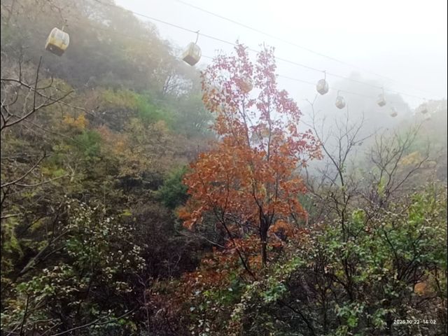 石家莊周邊｜阜平天生橋秋色絕了！雨中仙境美到窒息