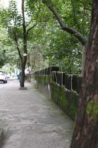 帶娃逛巴人石頭城